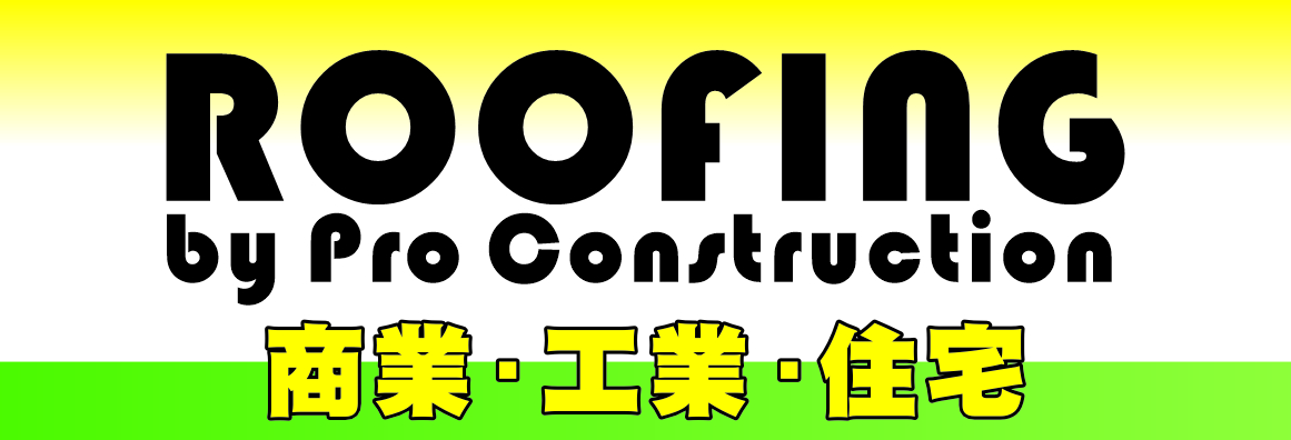  PRO ROOFING