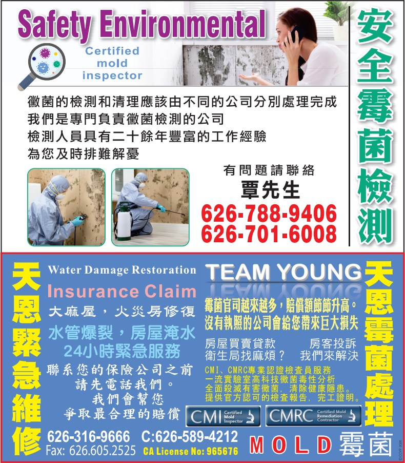 天恩霉菌处理公司 TEAM YOUNG INC. - 华人工商黄页