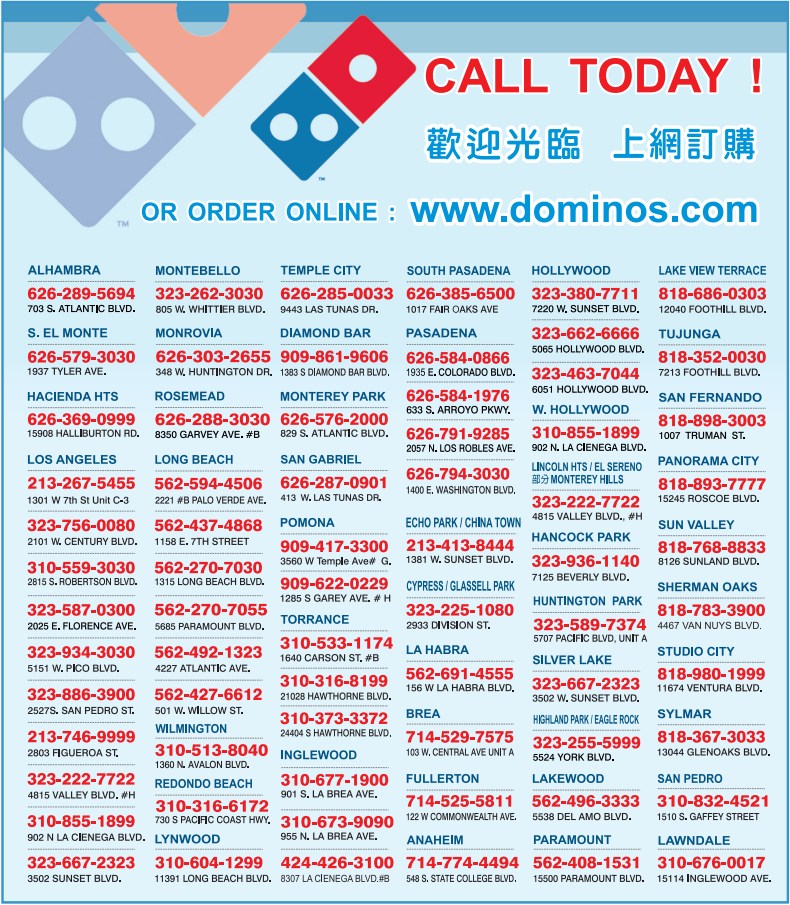 DOMINO'S PIZZA